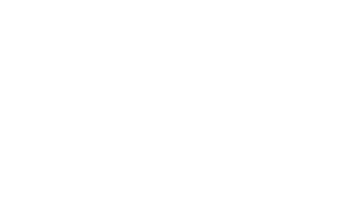 synpsys